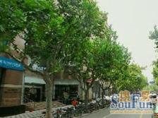 卢湾二向明,格局通透,漂亮朝南带阳台一室户