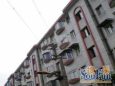 金杨·金杨路750弄·2室·1厅