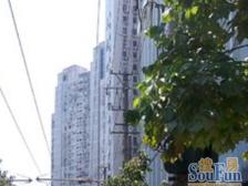 北 外 滩 正经3房2厅 采光 全天