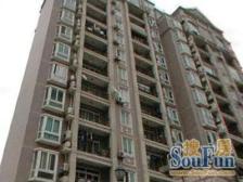 陆家嘴·浦江茗园·复式房,景观佳