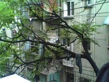 赐福巷 装修好,环镜优美 近地铁 视野好,诚心出售