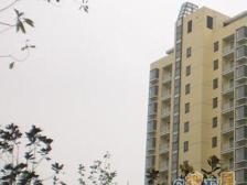 尚城汇景园 3室2厅 南