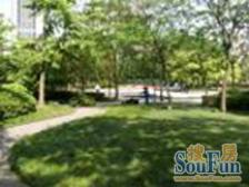 紫勋雍邸 3室2厅 东 南 北