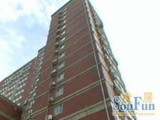 老公寓层高3.2米+安福路+武康路+双阳台+视野好