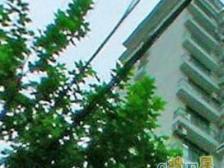 田林·申德公寓·3室·2厅