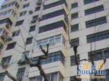 精装修 视野好 近新天地 翠湖 老西门 北方公寓2室