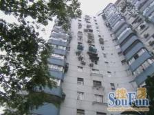 陆家嘴低总价电梯一居室 看房方便