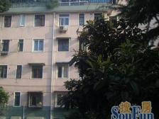 宝钢一村全明2房,满五年,采光充足,不受打扰