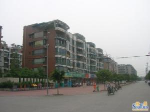 祥和花园1室1厅东南