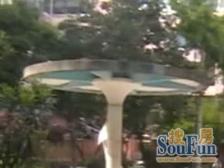 非顶楼低总价,朝南一室户,厨卫朝北全明户型,