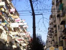 鞍山·双辽支路60弄·1室·1厅