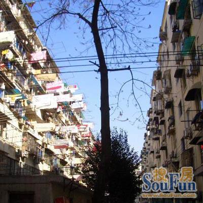双辽支路60弄小区
