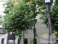 汇众康定小区 2室1厅 南