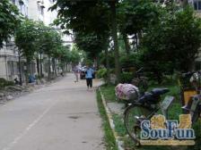 汇众康定小区 1室1厅 南