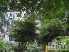 新出全明一房,精装修领包入住,楼层好采光佳