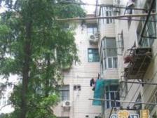 桃源新村 2室2厅 南