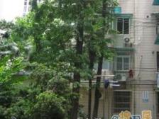 人广大世界精致小户型,领包入住,地铁口