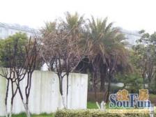 东方日出苑5室南朝向3500.00万元/套出售