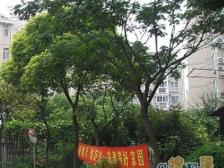 9户型地铁口,精装修可拎包入住,产权清晰
