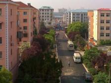 芳华路268弄1室1厅南