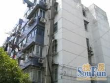 金桥,难得电梯凤凰层,双轨地铁,满五,无税
