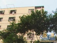 小区环境好 91年房龄 单价低 业主诚意出售 价格可谈