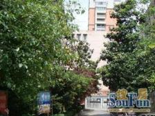 小区环境好 91年房龄 单价低 业主诚意出售 价格可谈