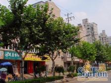 昌鑫世纪园2室南朝向500.00万元/套出售