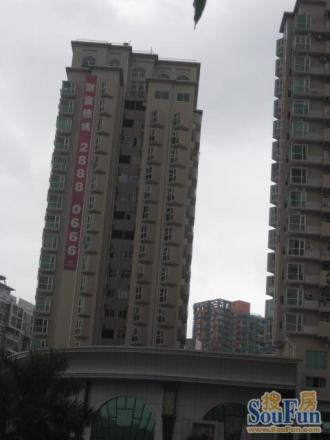 百合银都国际
