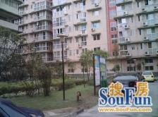 东方桂苑 3室2厅 东北