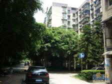 南坪 万寿花园三房72万