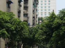 南坪步行街 万寿花园 可上珊瑚 精装修两房 急售