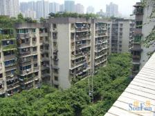 带花园+户型方正+双轻轨+珊瑚+采光好