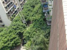 万寿花园 3室2厅 南 北