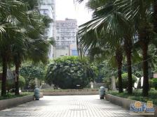 南坪 万寿花园二房50万