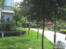 大社区,小区环境好,近轻轨,配套设施齐全