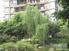 南坪骏逸江南小区 住家精装2房 业主安心卖