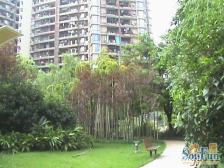 经开区 骏逸江南二房85万