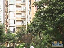 骏逸江南一楼 朝中庭 配套好 拎包入住 诚心卖