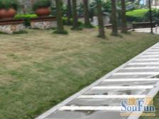 骏逸蓝山高层三房 朝中庭 看房子方便 带家具家电