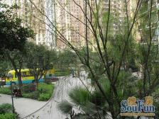 金阳罗马假日 1室1厅 南