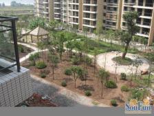 南滨路 10号线轻轨 坐北朝南 精装3房 拎包入住