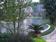 寸滩 金科廊桥水岸(江北)三房165万