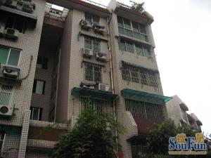 鼓楼花园新出一楼架空,全明大两房两卫,可见树景