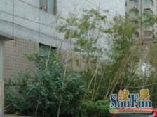 品质小区,环境优美,精装修,诚意出售