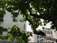 鞍山·抚顺路363弄·1室·1厅