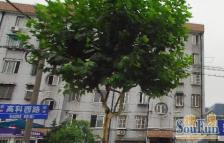 18号线芳芯路站旁高科西路3060弄91平三房