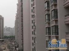 馨和雅苑大三房户型中间好楼层南北通透业主诚心急售