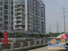 东珠苑 3室2厅 东 西