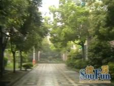 枫叶公寓 2室2厅 南